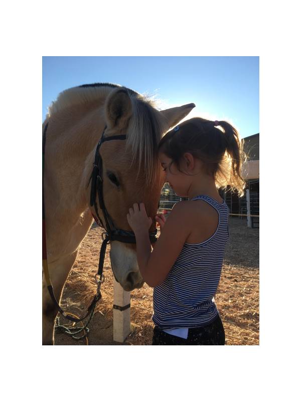 ADdie & Sindre QGivntitled.jpg