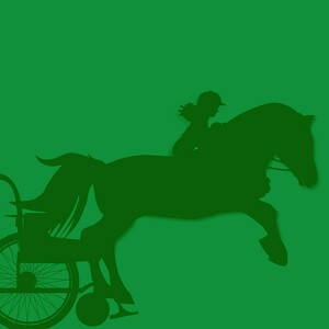 Team Page: Horserace Sponsors